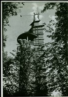 藏品((影印稿))的圖片