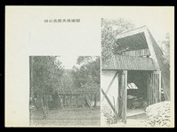 藏品((影印圖片))的圖片