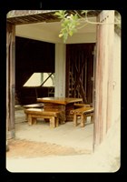 藏品(( 林口球場照片5))的圖片