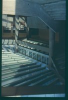 藏品((幻燈片1))的圖片