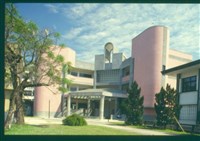 藏品((幻燈片19))的圖片