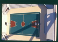 藏品((幻燈片4))的圖片