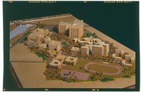 藏品((正片1))的圖片