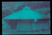 藏品((照片))的圖片