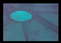 藏品((照片))的圖片