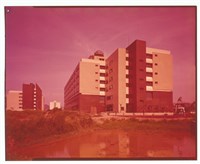 藏品((底片1))的圖片