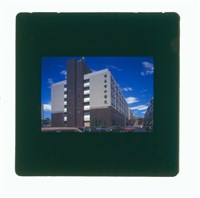 藏品((幻燈片2))的圖片