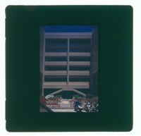 藏品((幻燈片5))的圖片