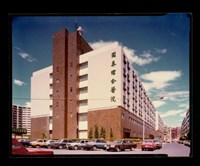 藏品((照片))的圖片