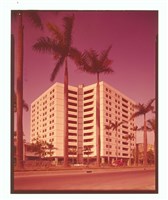 藏品((建築師雜誌刊登底片))的圖片