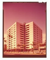 藏品((底片3))的圖片