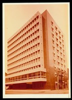 藏品((彩色照片))的圖片