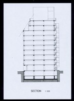 藏品(SECTION)的圖片