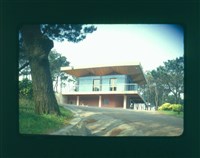 藏品((幻燈片3))的圖片