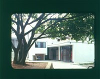 藏品((幻燈片4))的圖片