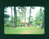 藏品((幻燈片6))的圖片