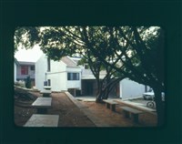 藏品((幻燈片7))的圖片