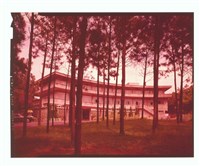 藏品((底片1))的圖片