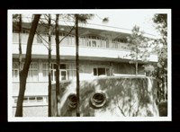 藏品((照片))的圖片