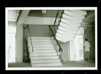 藏品((照片))的圖片