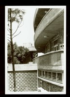 藏品((照片))的圖片