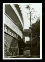 藏品((照片))的圖片