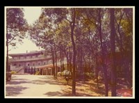 藏品((照片))的圖片