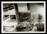 藏品((照片))的圖片