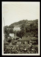 藏品((照片))的圖片