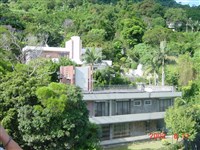 藏品(DSC00692(照片))的圖片