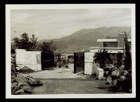 藏品((照片))的圖片