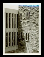 藏品((照片))的圖片