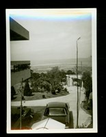 藏品((照片))的圖片