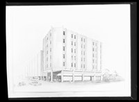 藏品((負片))的圖片