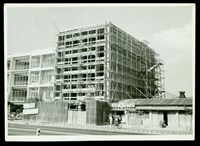 藏品((照片))的圖片