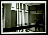 藏品((照片))的圖片