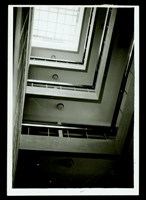 藏品((照片))的圖片