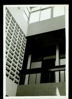 藏品((照片))的圖片