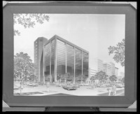 藏品((袋內底片2))的圖片