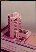 藏品((照片))的圖片