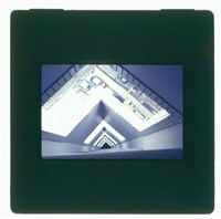 藏品((正片2))的圖片