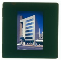 藏品((正片6))的圖片