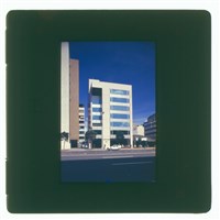 藏品((正片8))的圖片