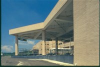 藏品((幻燈片5))的圖片