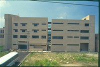 藏品((幻燈片7))的圖片