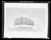 藏品((負片))的圖片