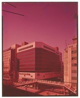 藏品((正片1))的圖片