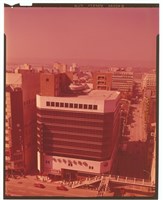 藏品((正片2))的圖片