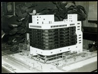 藏品((照片5))的圖片