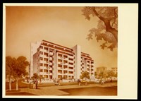 藏品((照片10正面))的圖片